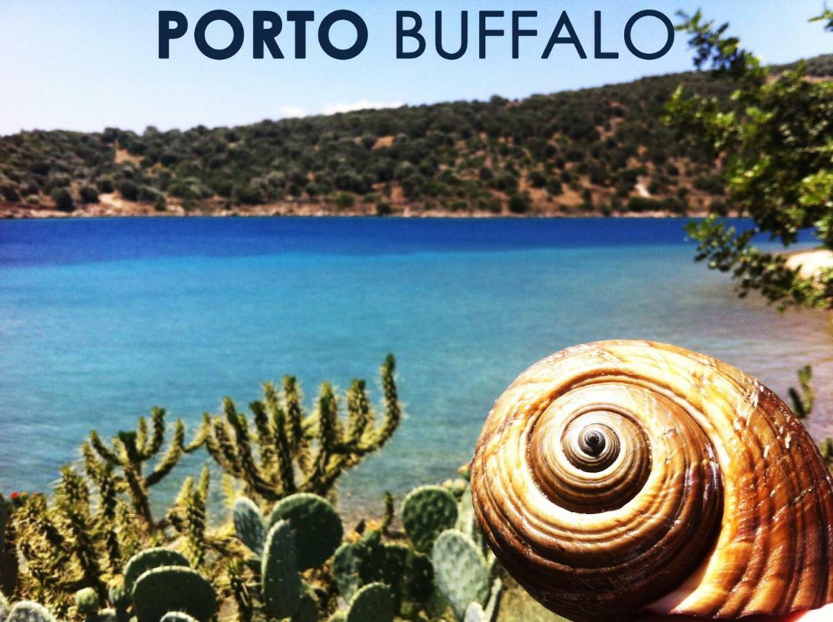 Sea Front Studio - Porto Boufalo - Evia Exterior foto